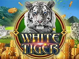 White Tiger