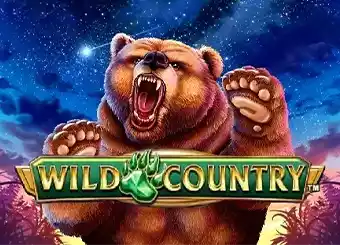 Wild Country