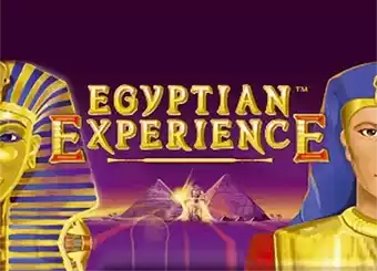 Egyptian Experience