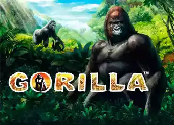 Jungle Gorilla