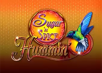 Sugar N Spice Hummin