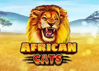 African Cats