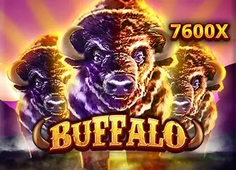 Buffalo