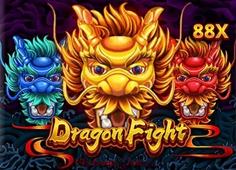 Dragon Fight